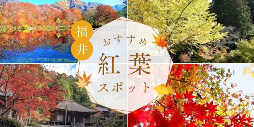 福井の「紅葉スポット」全解説！名所から穴場まで見頃を公開