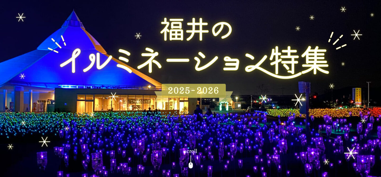 福井のイルミネーション特集☆冬空を美しく彩る灯りを見に行こう